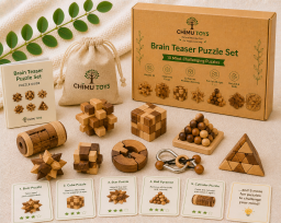21 Brain Teaser Puzzle Set
